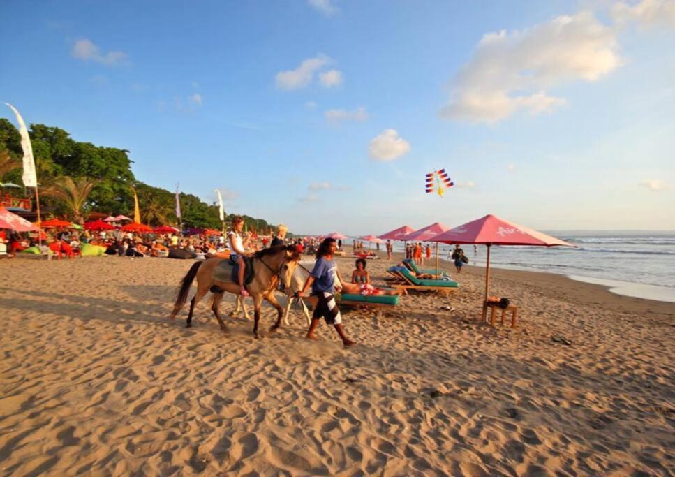 Tropical Hideaway * Seminyak (Bali)